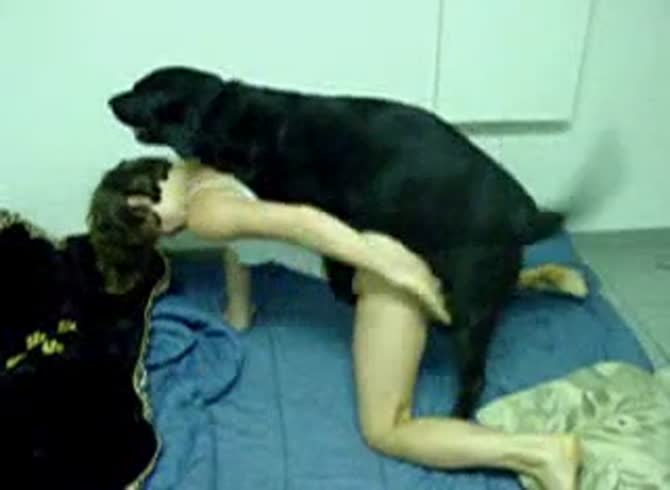 Dog sex with the girl in Linyi